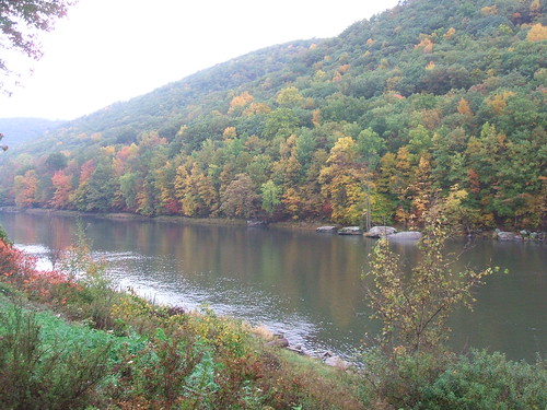 alleghenyriver autumncolours fallcolors pa upstatenyandpa reflections geordiemac tidioute ©2007georgemcvitieallrightsreserved water watercourse river trees hill usa