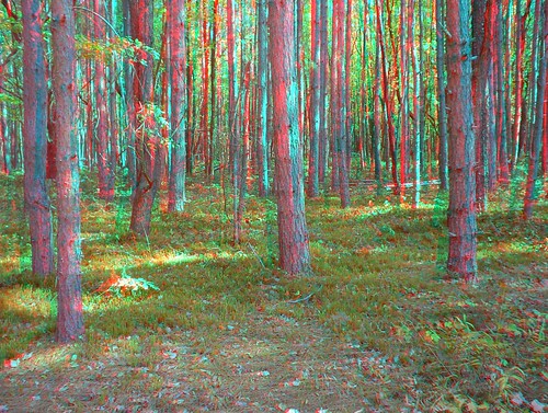 stereogram 3d anaglyph stereo anabuilder