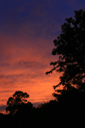 blue trees orange silhouette sunrise purple scoresby damnpowerlines