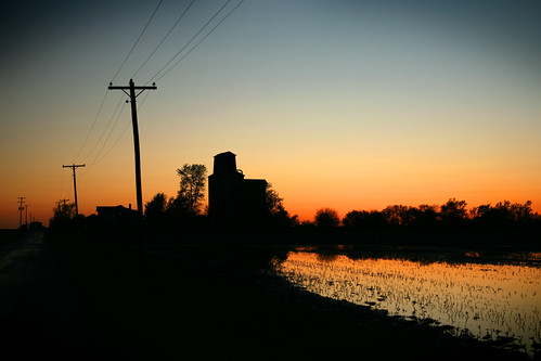 sunset silhouette countryside cornfield indiana grainelevator