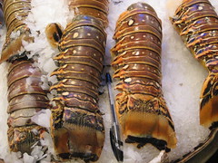 Enormous Lobster Tails 
