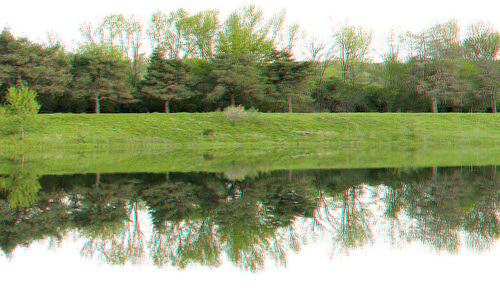 lake reflection tree stereoscopic stereophoto 3d spring scenic anaglyph anaglyphs redcyan 3dimages 3dphoto 3dphotos 3dpictures stereopicture