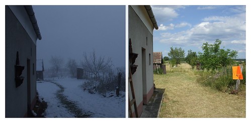 trees winter summer sky snow clouds rural garden countryside towel tito slovensko slovakia zima leto sneh stromy mraky oblaky vidiek závod záhorie záhrada titodaking uterák