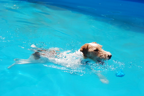 Gatsby swimming