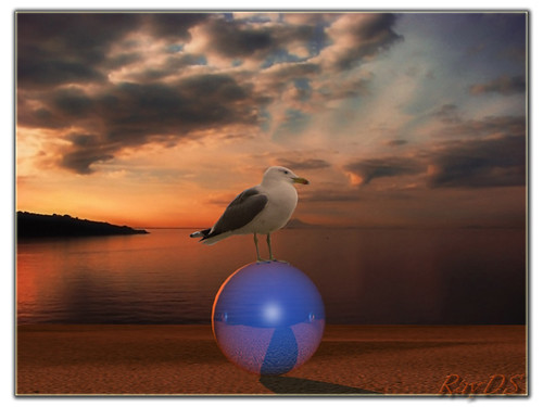 pictures blue sunset red sea sky italy reflection colors clouds photo 3d sand nuvole foto render seagull cielo rayds