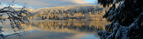 portmoody portmoodyinlet canada nikond800 nature water ocean inlet winterlandscape wintertrees mountainsnow