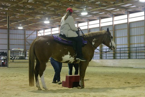 horse west english training virginia d palm lynn wv western clinic morgantown equine association reedsville dressage wvea