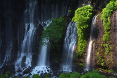 白糸の滝 (shiraito waterfall)