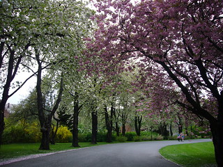 Botanisk hage, Oslo