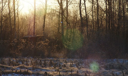 autumn light italy sun snow luz sunrise italia alba amanecer piemonte faery flare piedmont luce faerie faeries 2007 greenfaery vco cavallirio pianorosa