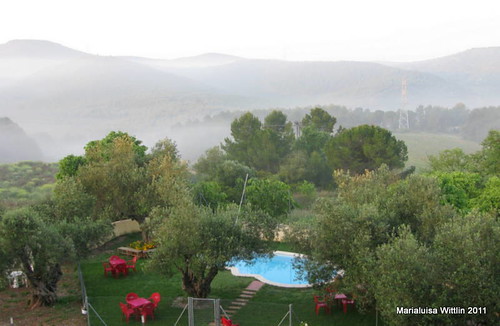 españa fog sunrise cataluña olivella weatherphotography parcdelgarraf marlis1 olesadebonesvalls carreteradebeguesbv2041olivellacataluñaespaña