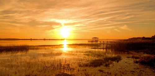 twinoaks conservationarea kissimme stcloud florida sunset sunrise nature wetland pier