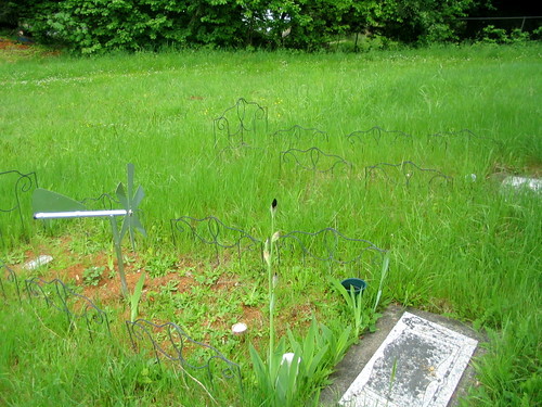 cemetery graveyard oregon lanecounty cottagegrove deadmantalking taylorlane