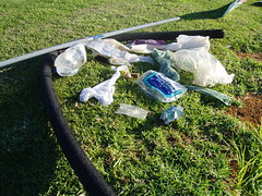 Rubbish from one trip around the harbours