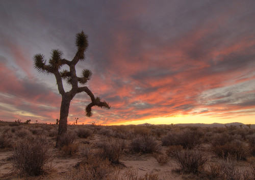 california sunset landscape desert hdr photomatix abigfave impressedbeauty tokinaatx124prodx