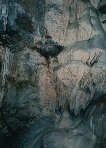 washington caves limestone caverns cccp speleothems gardnercave