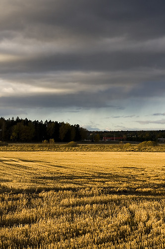 autumn light sunset fall field canon john landscape 50mm stormy swedish hay 18 höst nyköping summmer landskap koinberg koinis