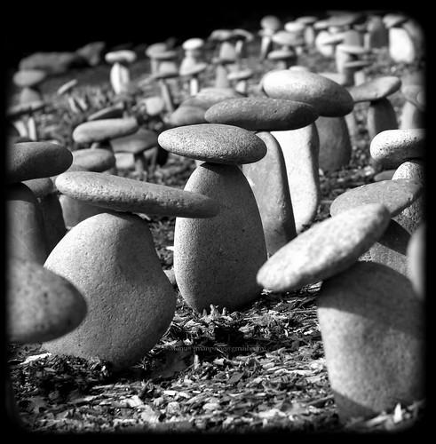 california blackandwhite bw art sony winery stonesculpture napa manu a100 domainechandon minolta50mmf17 sonyalpha100 rockmushroomgarden manpsing