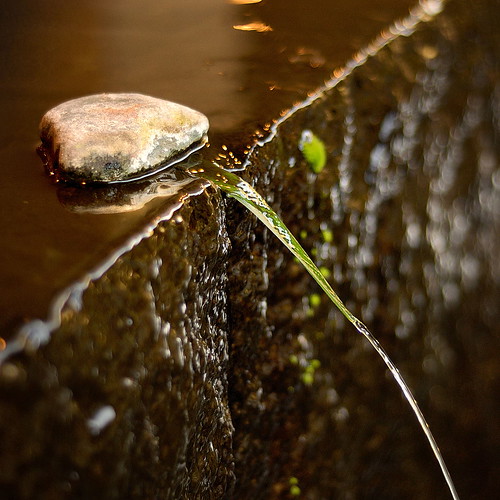 water japan stone geotagged leaf nikon random pebble d200 50mmf18d hakone nikond200 krobbie nikoncapturenx geo:lat=3523246 geo:lon=139104933