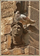 Barcelona, Barri de la Ribera - La catedral del mar - Cabeza con paloma