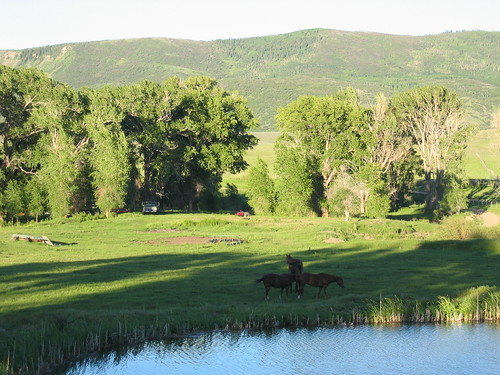 ranch horse colorado roadtrip meeker