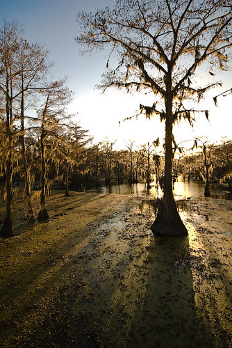 trees sunset water geotagged texas unitedstates bayou swamp cypress jefferson uncertain geo:lat=3275759600 geo:lon=9414730500