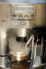 steamed milk entering a latte    MG 9281 