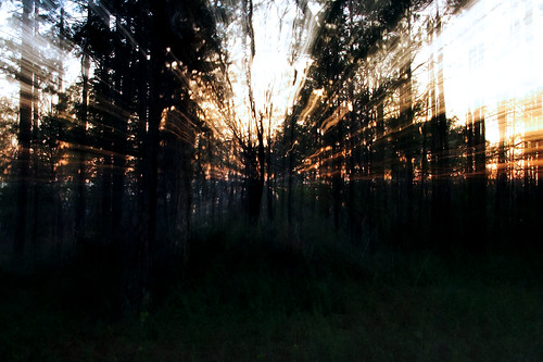 trees sunset grass forest louisiana zoom dusk surreal dreamy lightstreaks lightmanipulation