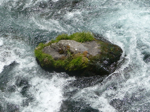 water japan stone river moss diary nikko daiyagawa