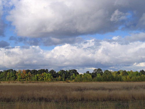 autumn sky clouds oregon eugene thatfield