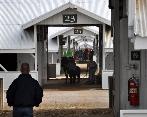 horses barn racing keeneland thoroughbred