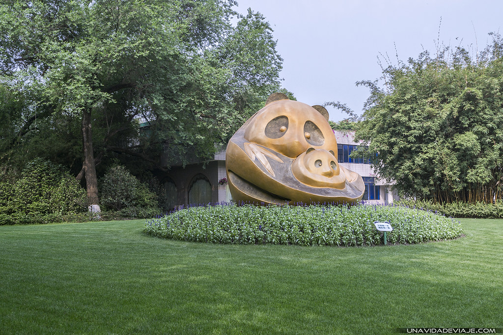 Panda Base Chengdu