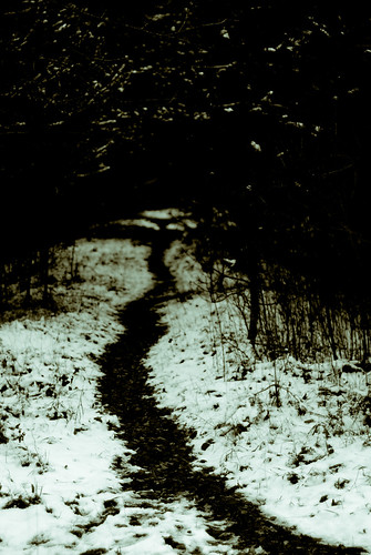 schnee winter bw snow cold darkness path sw kalt weg dunkelheit pfad