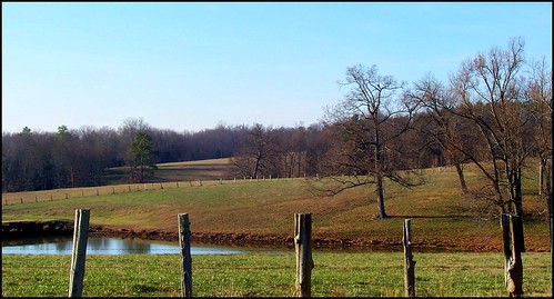 fence landscape pond southcarolina pasture harmony mcconnells sundaydrivehome freenature goldstaraward yorkcountysc life~asiseeit