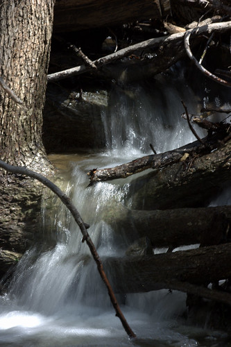 water creek flow waterfall stream branches flowing