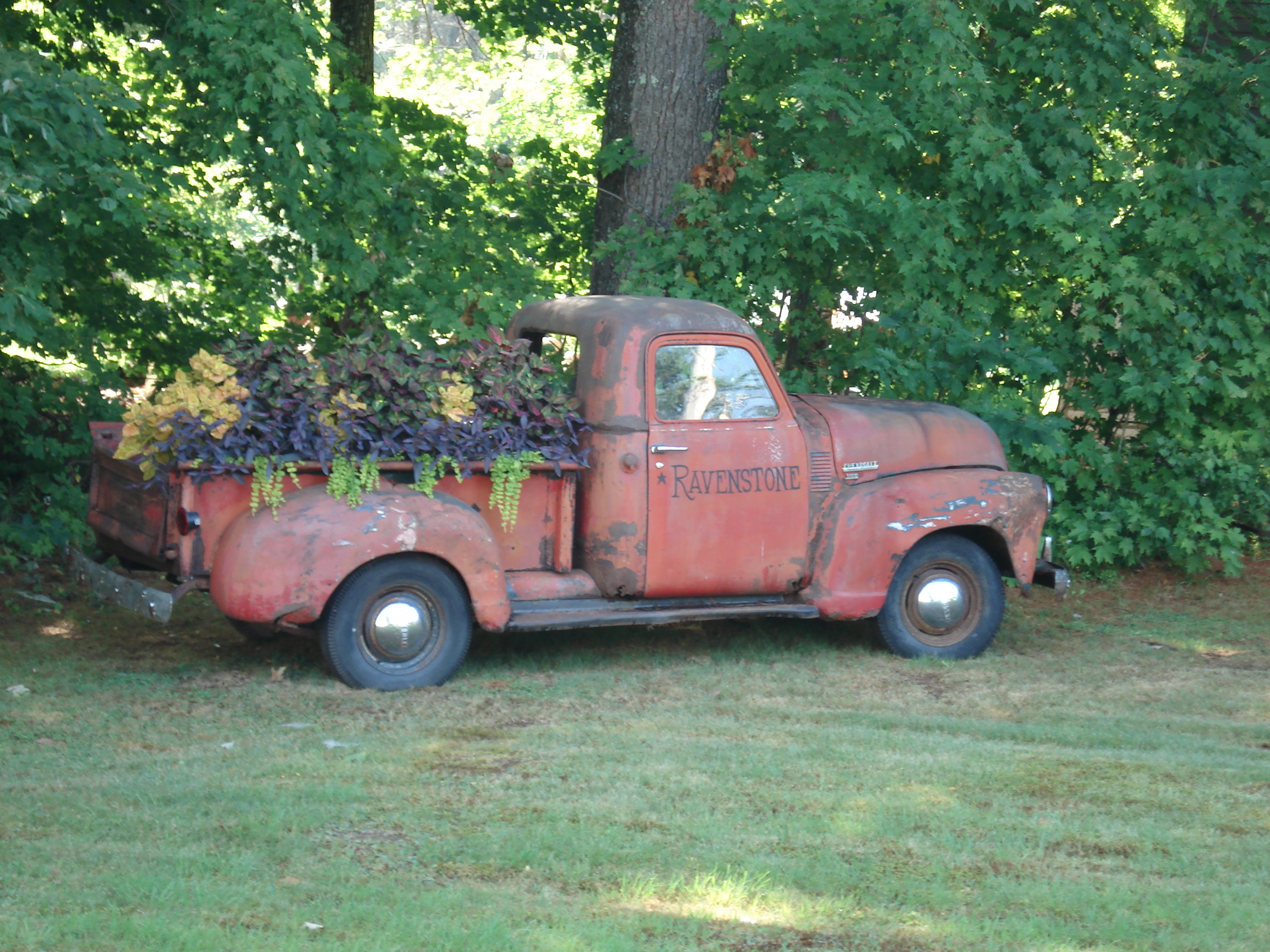 1952 Chevy Truck by carcrazy6509