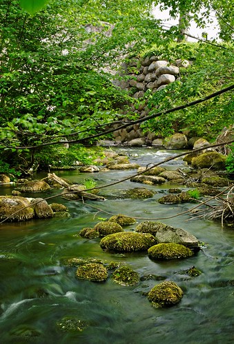 bridge green vertical creek skåne moss nikon sweden d200 bäck