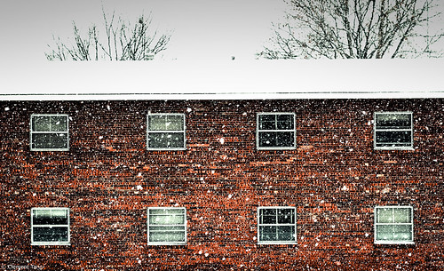 winter snow brick texture d50 geotagged 50mm artistic expression patterns january 50mmf18d sobeautiful oklahomastateuniversity artisticexpression primelens golddragon abigfave clementtang geo:lat=36127199 geo:lon=97079106