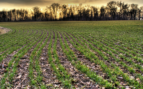 sunset ohio field canon landscape rebel xt country soybean hdr
