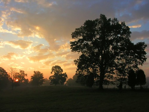 morning mist sunrise northcarolina