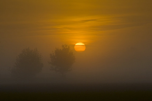 mist sunrise