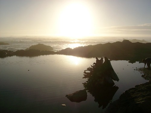 california sunset mendocino glassbeach tidalpool fortbragg mlhradio