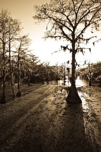 trees sunset water geotagged texas unitedstates bayou swamp cypress jefferson uncertain geo:lat=3275759600 geo:lon=9414730500