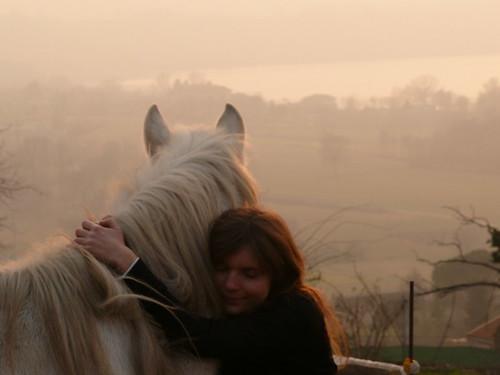 sunset horse lake love hug equine theunforgettablepictures theunforgattablepictures