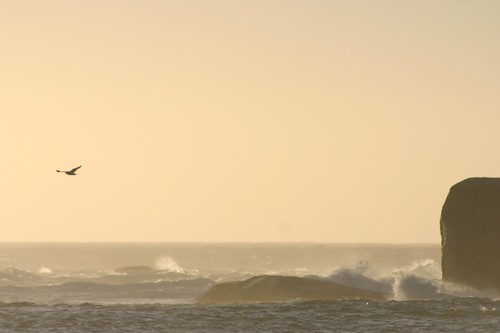 Clifton Beach