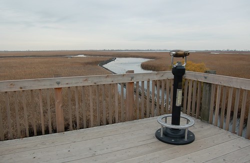 ontario canada tower boardwalk marsh marshland pointpelee lookouttower pointpeleenationalpark