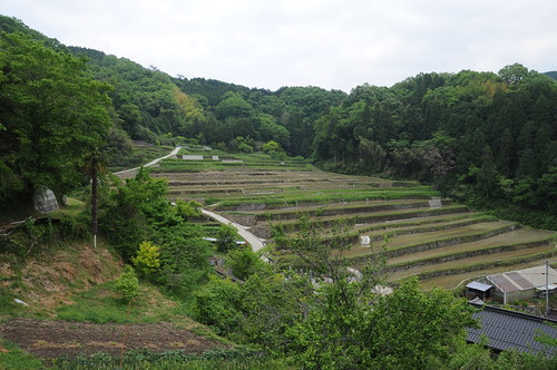japan riceterraces hyogo paddyfield 田んぼ sayo kozuki 田舎 水田 兵庫 棚田 佐用 上月