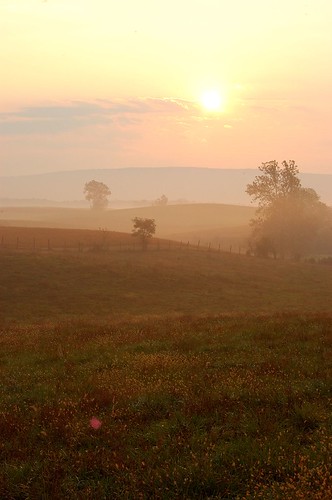 morning color fog sunrise d50 landscape virginia travels october honeymoon day farms smithfield berryville 2007 clarkecounty
