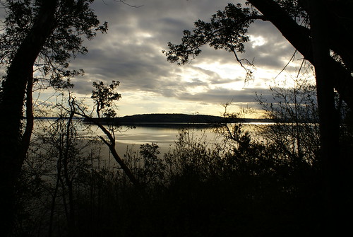 trees sunset water beautiful clouds island washington scenic pugetsound lanscape desmoines scenicview marineviewpark