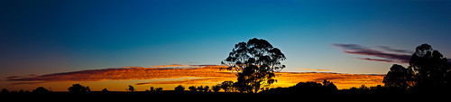sunrise farm westernaustralia broomehill